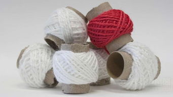 從廢棄物到時尚單品 屠宰場副產品的創新利用